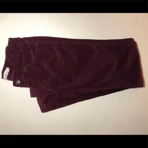 NWOT LL Bean Signature Women’s 0 Corduroy Pant